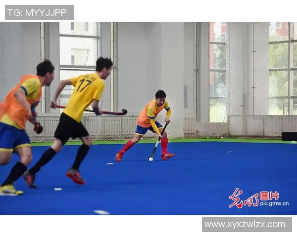 以球会友促协作 “曲棍球之乡”进京展出引重视